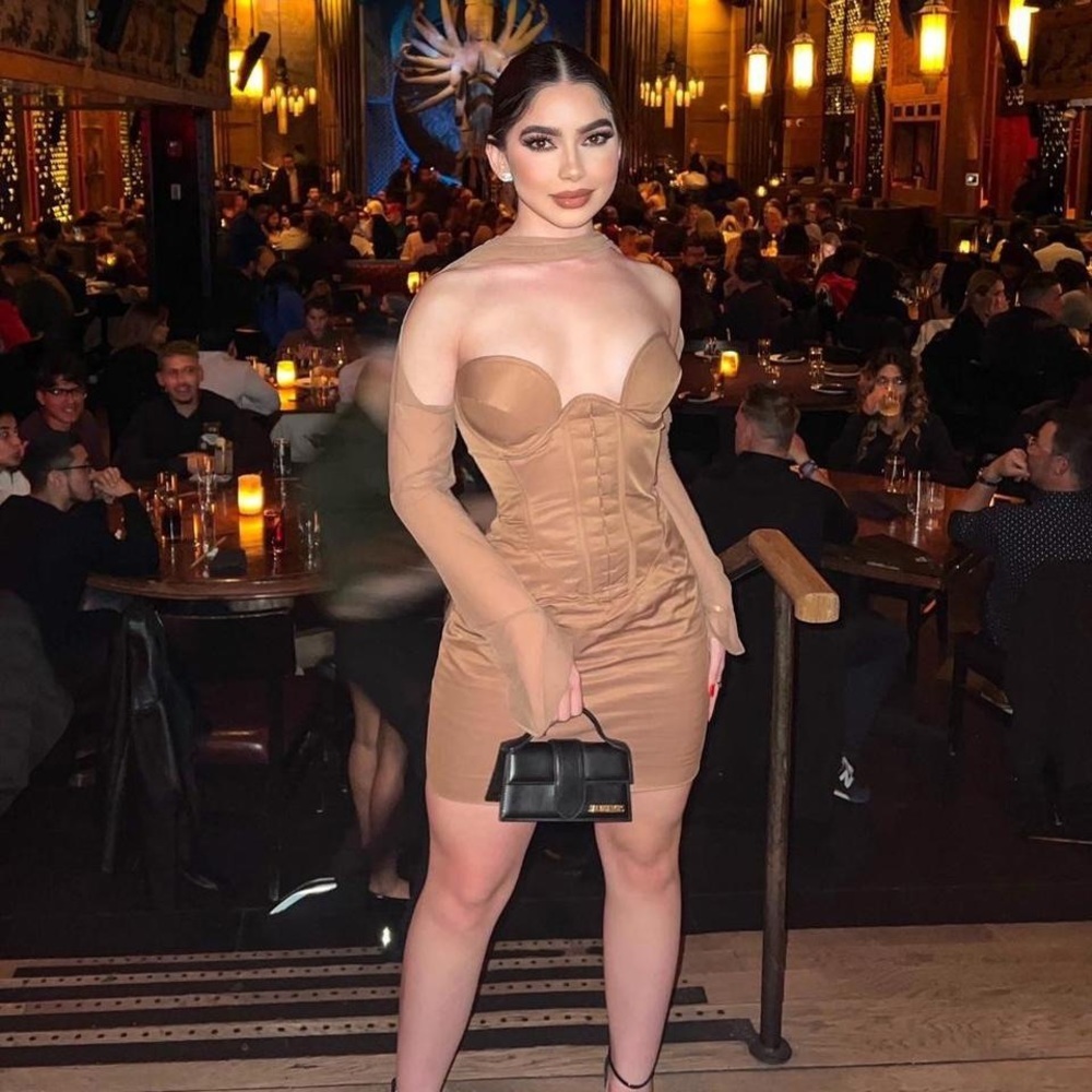 House of CB Mayara Mocha Mesh Structured Corset Mini Dress - Picture 11 of 16
